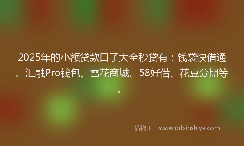 2025年的小额贷款口子大全秒贷有：钱袋快借通、汇融Pro钱包、雪花商城、58好借、花豆分期等。