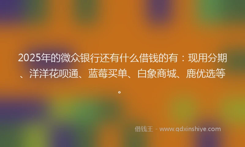 2025年的微众银行还有什么借钱的有：现用分期、洋洋花呗通、蓝莓买单、白象商城、鹿优选等。