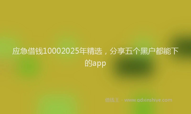 应急借钱10002025年精选，分享五个黑户都能下的app