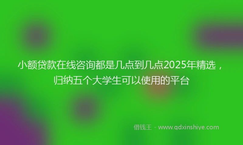 小额贷款在线咨询都是几点到几点2025年精选，归纳五个大学生可以使用的平台