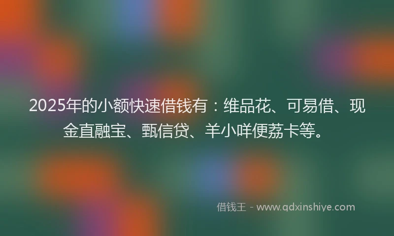 2025年的小额快速借钱有：维品花、可易借、现金直融宝、甄信贷、羊小咩便荔卡等。