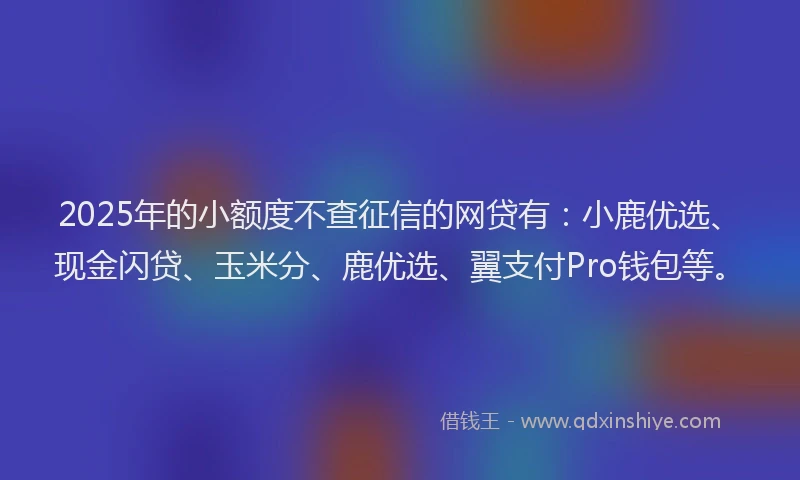 2025年的小额度不查征信的网贷有：小鹿优选、现金闪贷、玉米分、鹿优选、翼支付Pro钱包等。