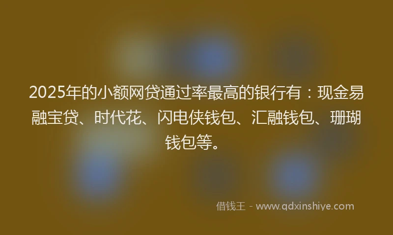 2025年的小额网贷通过率最高的银行有：现金易融宝贷、时代花、闪电侠钱包、汇融钱包、珊瑚钱包等。