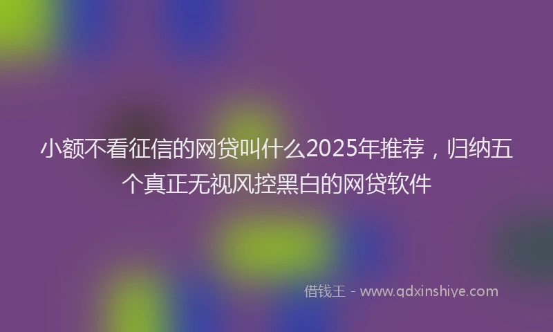小额不看征信的网贷叫什么2025年推荐，归纳五个真正无视风控黑白的网贷软件