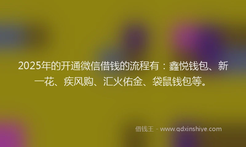 2025年的开通微信借钱的流程有：鑫悦钱包、新一花、疾风购、汇火佑金、袋鼠钱包等。