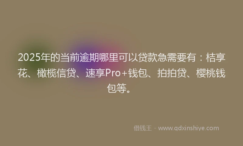2025年的当前逾期哪里可以贷款急需要有：桔享花、橄榄信贷、速享Pro+钱包、拍拍贷、樱桃钱包等。