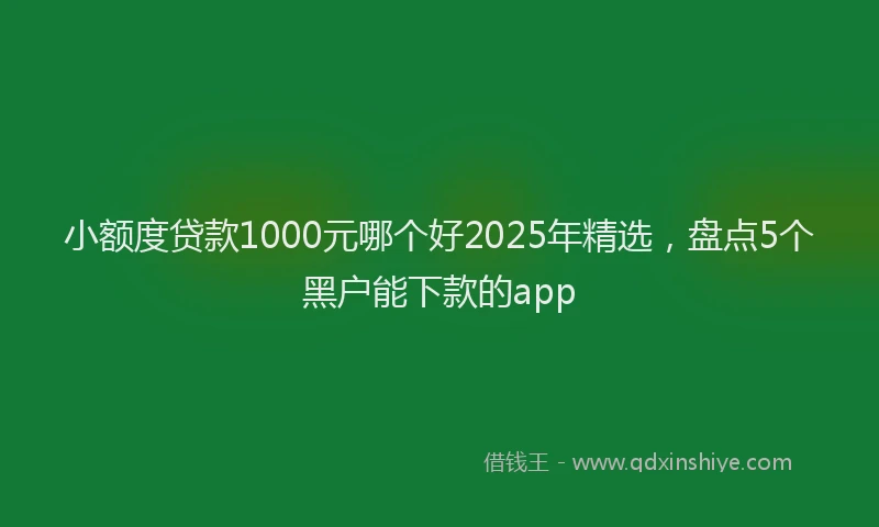 小额度贷款1000元哪个好2025年精选，盘点5个黑户能下款的app