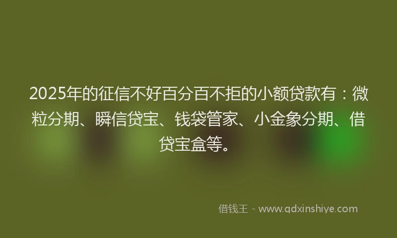 2025年的征信不好百分百不拒的小额贷款有：微粒分期、瞬信贷宝、钱袋管家、小金象分期、借贷宝盒等。
