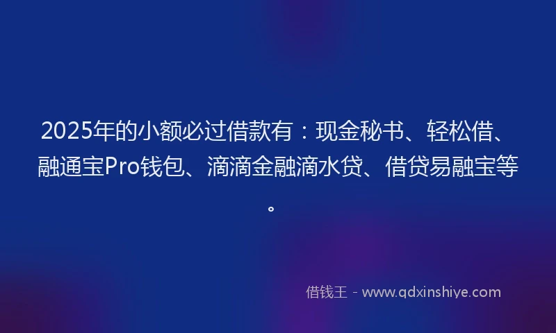 2025年的小额必过借款有：现金秘书、轻松借、融通宝Pro钱包、滴滴金融滴水贷、借贷易融宝等。