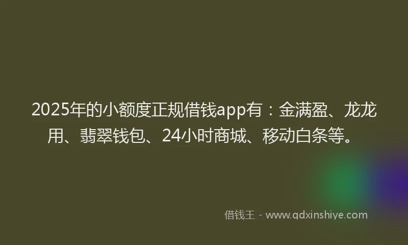 2025年的小额度正规借钱app有：金满盈、龙龙用、翡翠钱包、24小时商城、移动白条等。