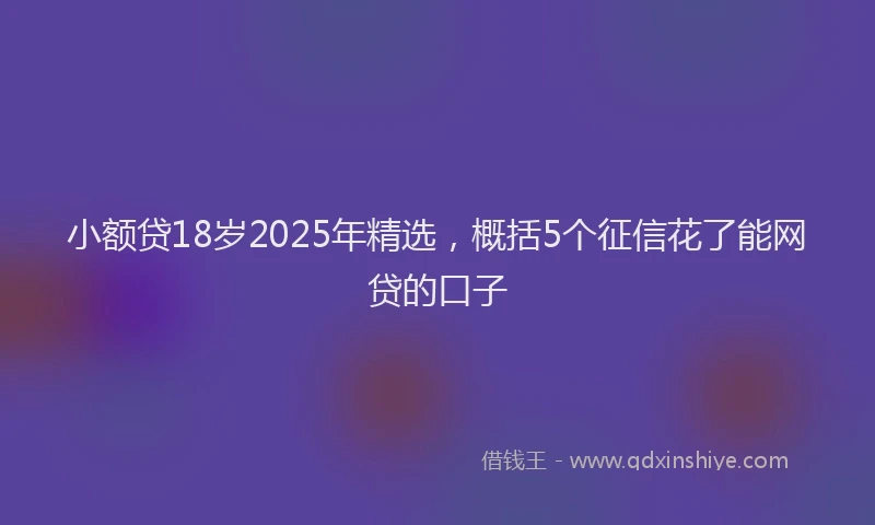 小额贷18岁2025年精选，概括5个征信花了能网贷的口子