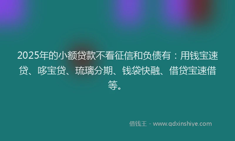 2025年的小额贷款不看征信和负债有：用钱宝速贷、哆宝贷、琉璃分期、钱袋快融、借贷宝速借等。