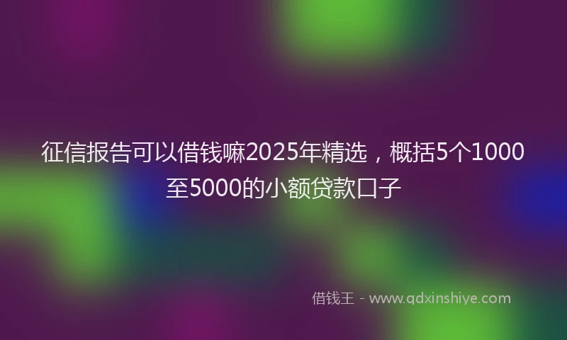 征信报告可以借钱嘛2025年精选，概括5个1000至5000的小额贷款口子