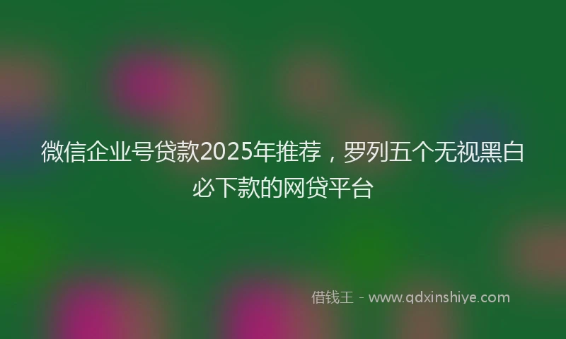 微信企业号贷款2025年推荐，罗列五个无视黑白必下款的网贷平台