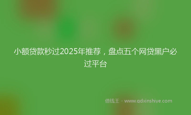 小额贷款秒过2025年推荐，盘点五个网贷黑户必过平台