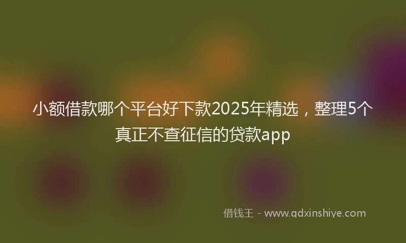 小额借款哪个平台好下款2025年精选，整理5个真正不查征信的贷款app