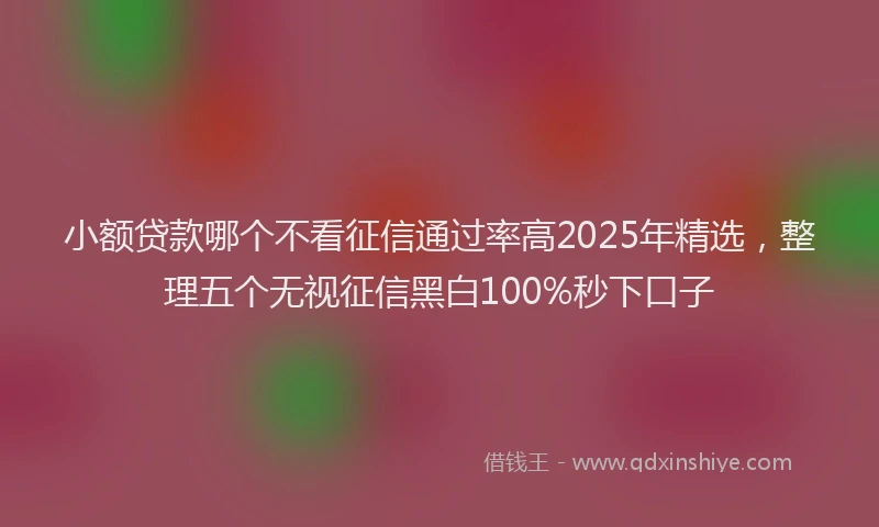 小额贷款哪个不看征信通过率高2025年精选，整理五个无视征信黑白100%秒下口子
