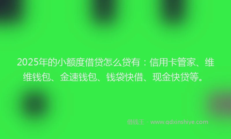 2025年的小额度借贷怎么贷有：信用卡管家、维维钱包、金速钱包、钱袋快借、现金快贷等。
