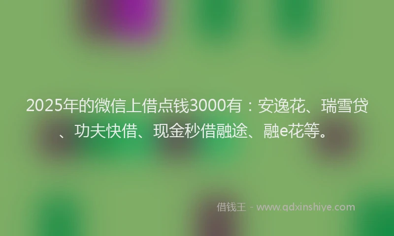 2025年的微信上借点钱3000有：安逸花、瑞雪贷、功夫快借、现金秒借融途、融e花等。