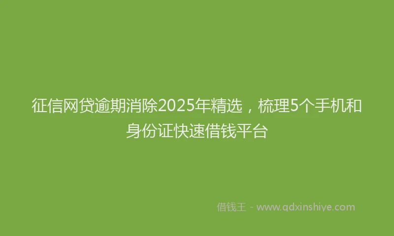 征信网贷逾期消除2025年精选，梳理5个手机和身份证快速借钱平台