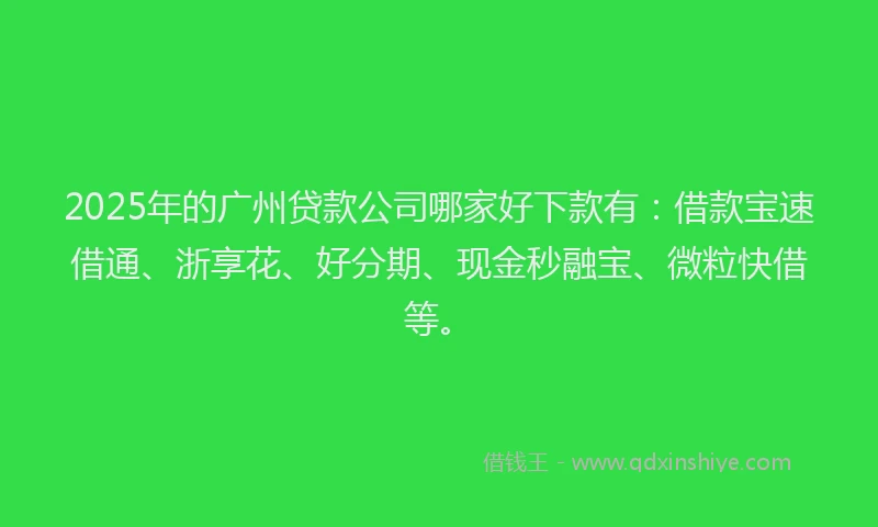 2025年的广州贷款公司哪家好下款有：借款宝速借通、浙享花、好分期、现金秒融宝、微粒快借等。