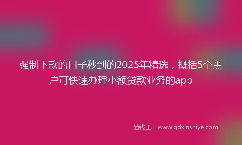 强制下款的口子秒到的2025年精选，概括5个黑户可快速办理小额贷款业务的app