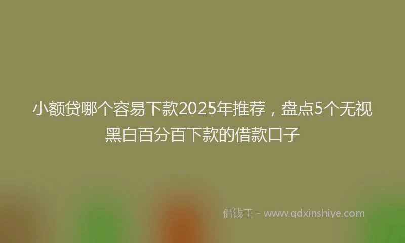 小额贷哪个容易下款2025年推荐，盘点5个无视黑白百分百下款的借款口子