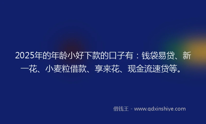 2025年的年龄小好下款的口子有：钱袋易贷、新一花、小麦粒借款、享来花、现金流速贷等。