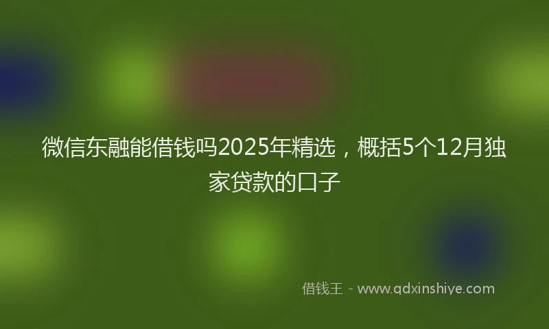 微信东融能借钱吗2025年精选，概括5个12月独家贷款的口子