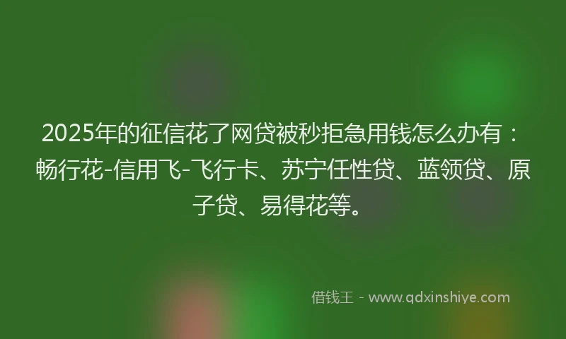 2025年的征信花了网贷被秒拒急用钱怎么办有：畅行花-信用飞-飞行卡、苏宁任性贷、蓝领贷、原子贷、易得花等。