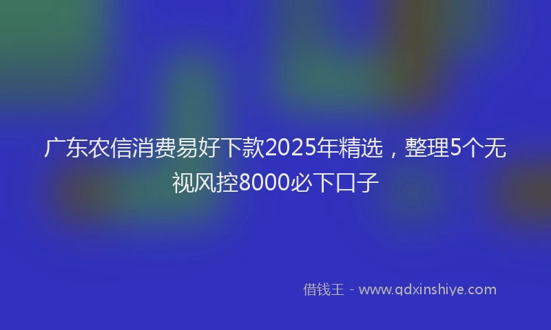 广东农信消费易好下款2025年精选，整理5个无视风控8000必下口子