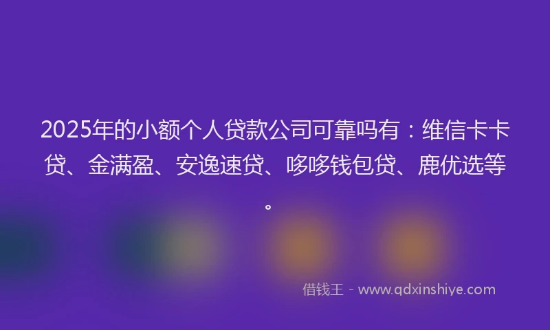 2025年的小额个人贷款公司可靠吗有：维信卡卡贷、金满盈、安逸速贷、哆哆钱包贷、鹿优选等。