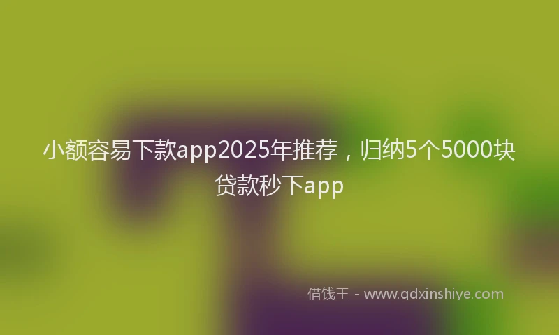 小额容易下款app2025年推荐，归纳5个5000块贷款秒下app