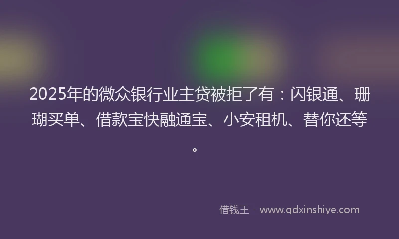 2025年的微众银行业主贷被拒了有：闪银通、珊瑚买单、借款宝快融通宝、小安租机、替你还等。