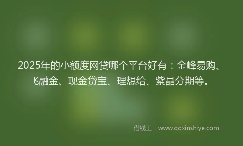 2025年的小额度网贷哪个平台好有：金峰易购、飞融金、现金贷宝、理想给、紫晶分期等。