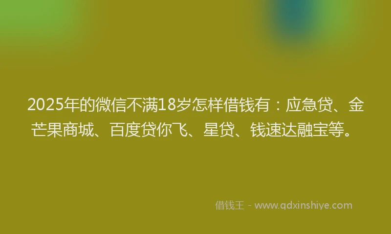 2025年的微信不满18岁怎样借钱有：应急贷、金芒果商城、百度贷你飞、星贷、钱速达融宝等。