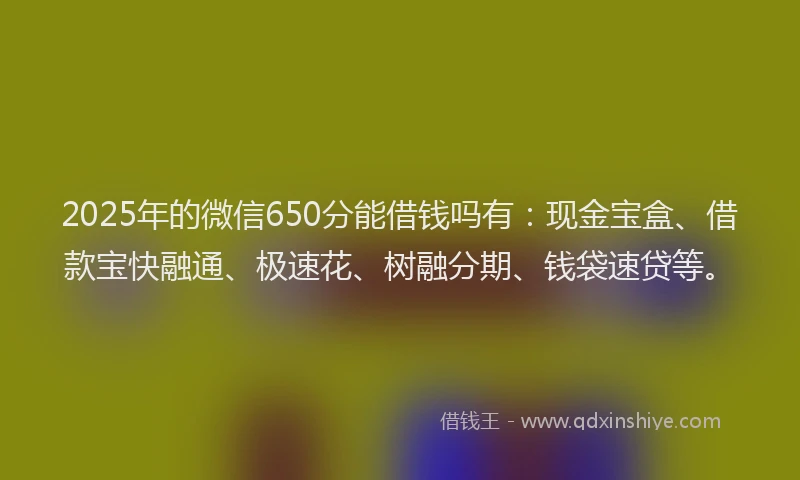 2025年的微信650分能借钱吗有：现金宝盒、借款宝快融通、极速花、树融分期、钱袋速贷等。