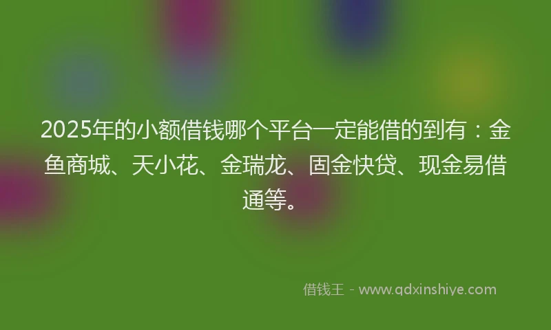 2025年的小额借钱哪个平台一定能借的到有：金鱼商城、天小花、金瑞龙、固金快贷、现金易借通等。