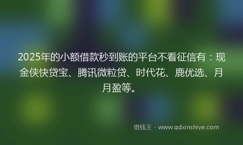 2025年的小额借款秒到账的平台不看征信有：现金侠快贷宝、腾讯微粒贷、时代花、鹿优选、月月盈等。