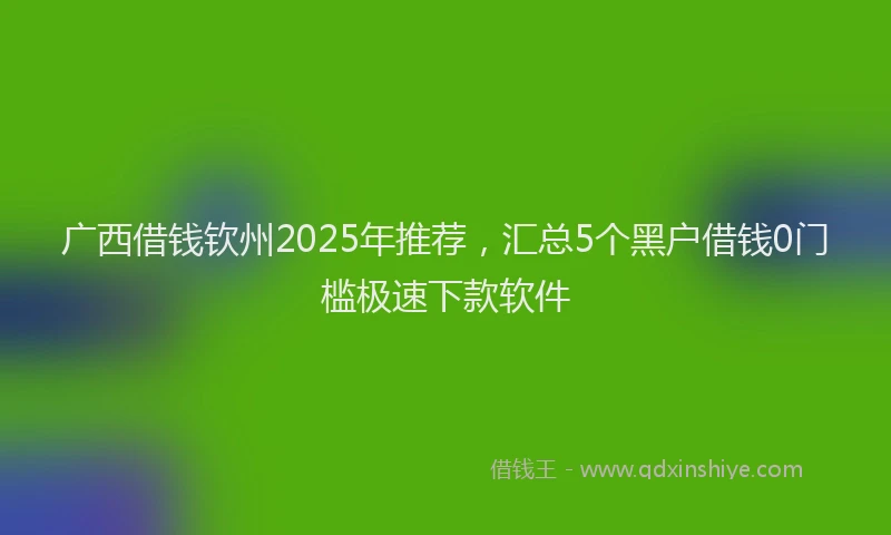广西借钱钦州2025年推荐，汇总5个黑户借钱0门槛极速下款软件