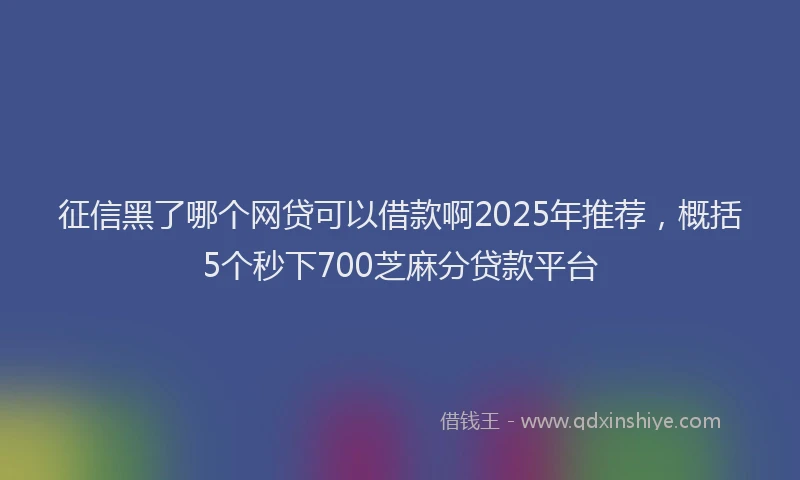 征信黑了哪个网贷可以借款啊2025年推荐，概括5个秒下700芝麻分贷款平台