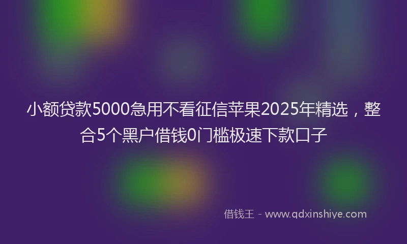 小额贷款5000急用不看征信苹果2025年精选，整合5个黑户借钱0门槛极速下款口子