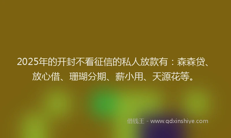 2025年的开封不看征信的私人放款有：森森贷、放心借、珊瑚分期、薪小用、天源花等。
