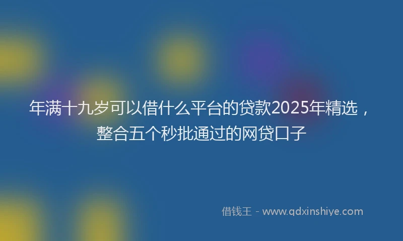 年满十九岁可以借什么平台的贷款2025年精选，整合五个秒批通过的网贷口子