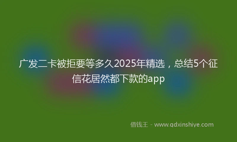 广发二卡被拒要等多久2025年精选，总结5个征信花居然都下款的app