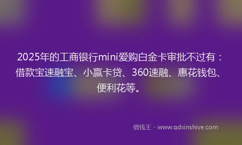2025年的工商银行mini爱购白金卡审批不过有：借款宝速融宝、小赢卡贷、360速融、惠花钱包、便利花等。