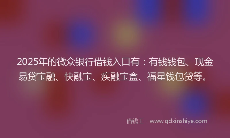 2025年的微众银行借钱入口有：有钱钱包、现金易贷宝融、快融宝、疾融宝盒、福星钱包贷等。