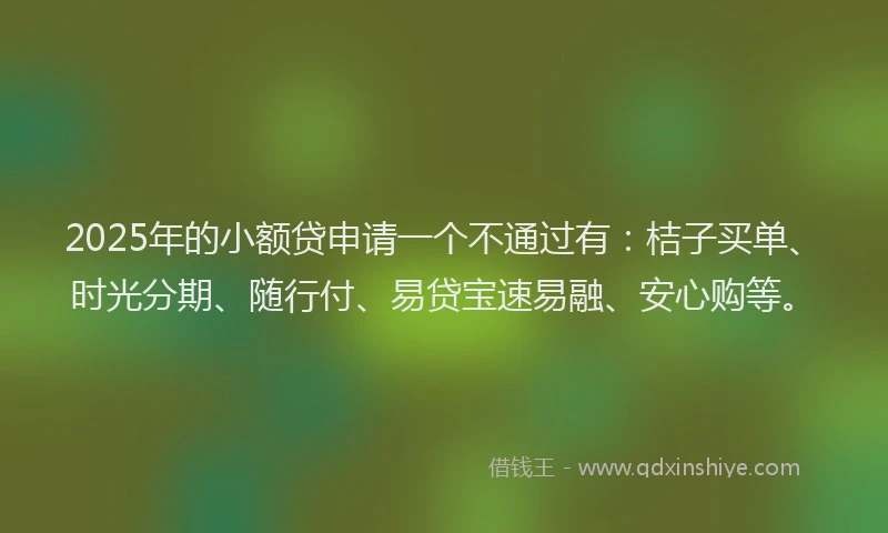 2025年的小额贷申请一个不通过有：桔子买单、时光分期、随行付、易贷宝速易融、安心购等。
