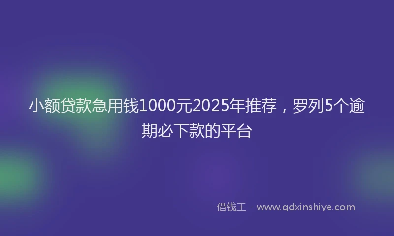 小额贷款急用钱1000元2025年推荐，罗列5个逾期必下款的平台