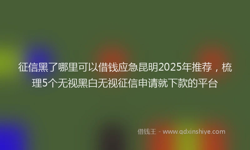 征信黑了哪里可以借钱应急昆明2025年推荐，梳理5个无视黑白无视征信申请就下款的平台